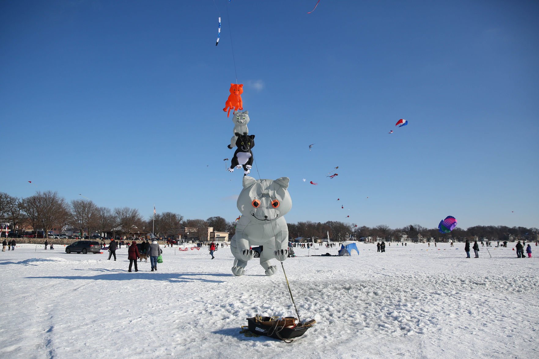 Color the Wind kite festival 02-15-2020 (16).jpg